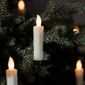 LL24097-Setof10IvoryLEDTruGlowChristmasTreeCandles_2.jpg