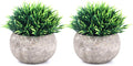 2 Pcs Small Artificial Faux Greenery (Potted Plants)