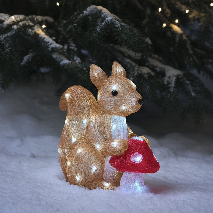 LL24061-TwiggytheSquirrel_ToadstoolLED3DAcrylicFigure.jpg