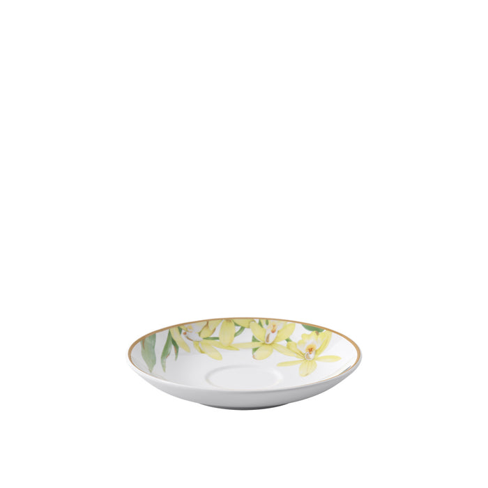 Amazonia Anmut Saucer for Espresso Cup 12 cm