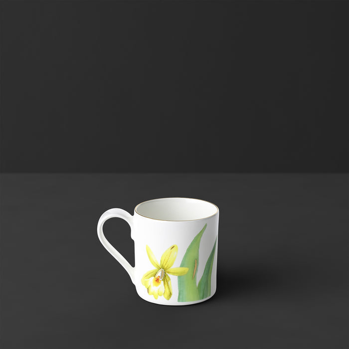 Amazonia Espresso Cup 60 ml