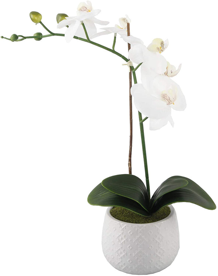 Artificial Flower in Ceramic Pot