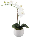 Artificial Flower in Ceramic Pot
