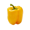 Bell Peppers Yellow [CASE] ~25lb