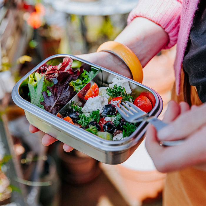 Elephant Box Lunchbox With Salad Inside