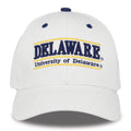 Delaware Bookstore Snapback