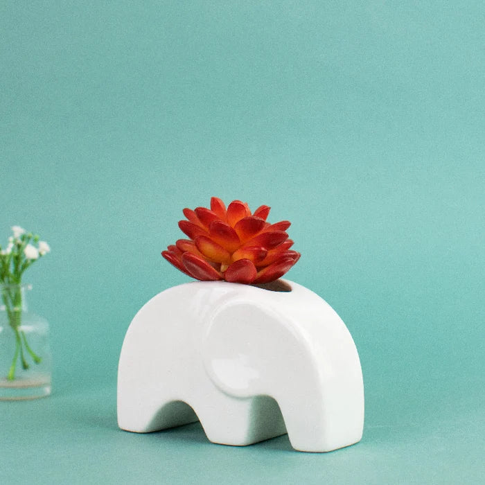 Ellphie Ceramic Pot For Plants Planters June Trading
