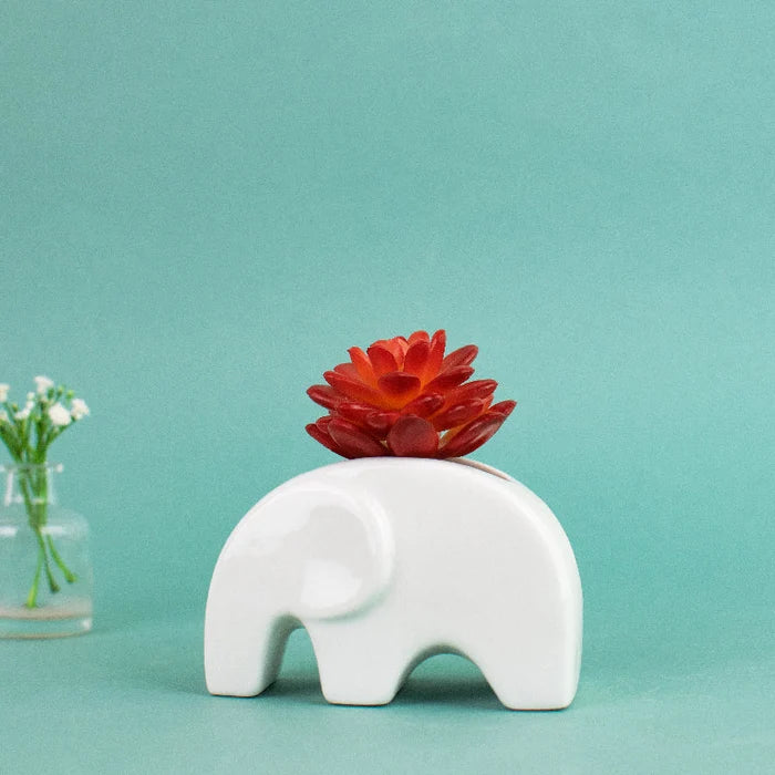 Ellphie Ceramic Pot For Plants Planters June Trading