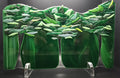 Emerald Forest