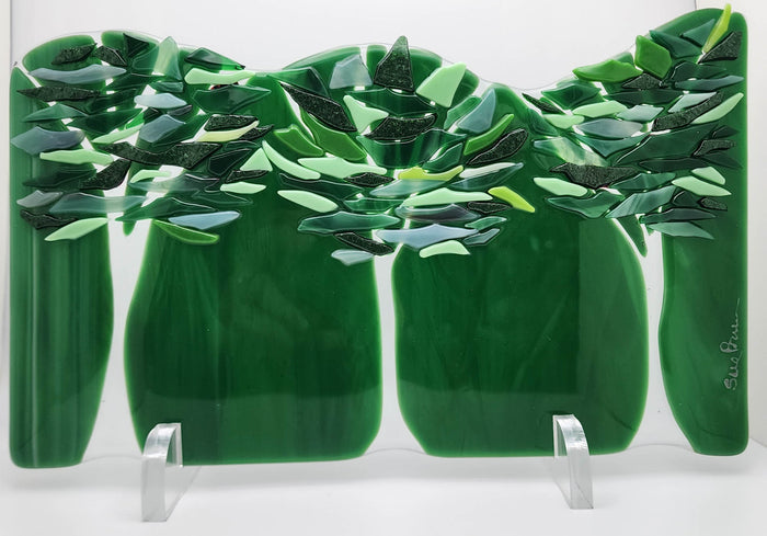 Emerald Forest