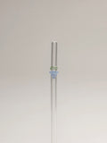 Fruit Glass Straw