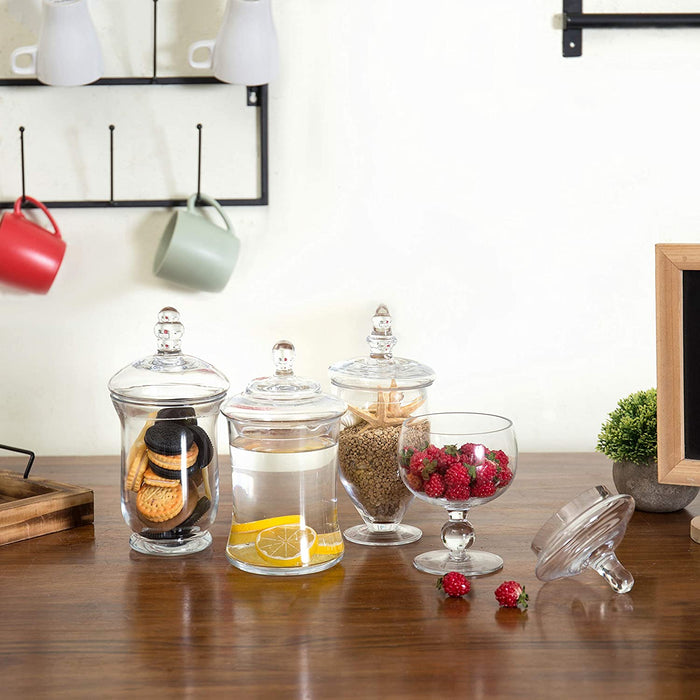 Glass Apothecary Jars Set