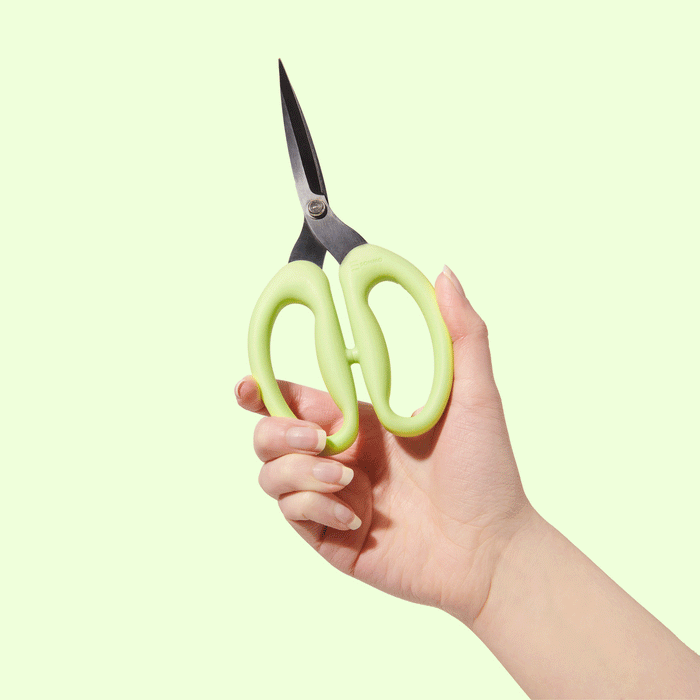 sohmo go to scissors 11