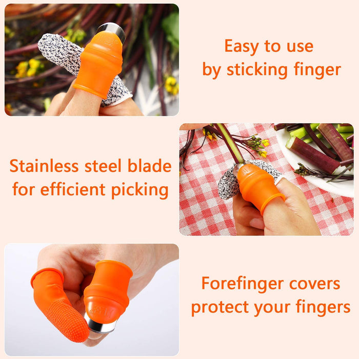 Knife Separator
