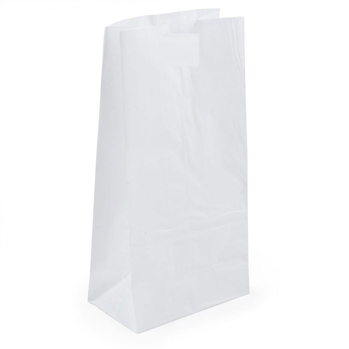 Kraft Paper Bags Bleached #10 - 500 Bundle