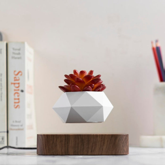Magnetic Levitating Bonsai Geometric Pot With Wood Grain Base Levitating June Trading