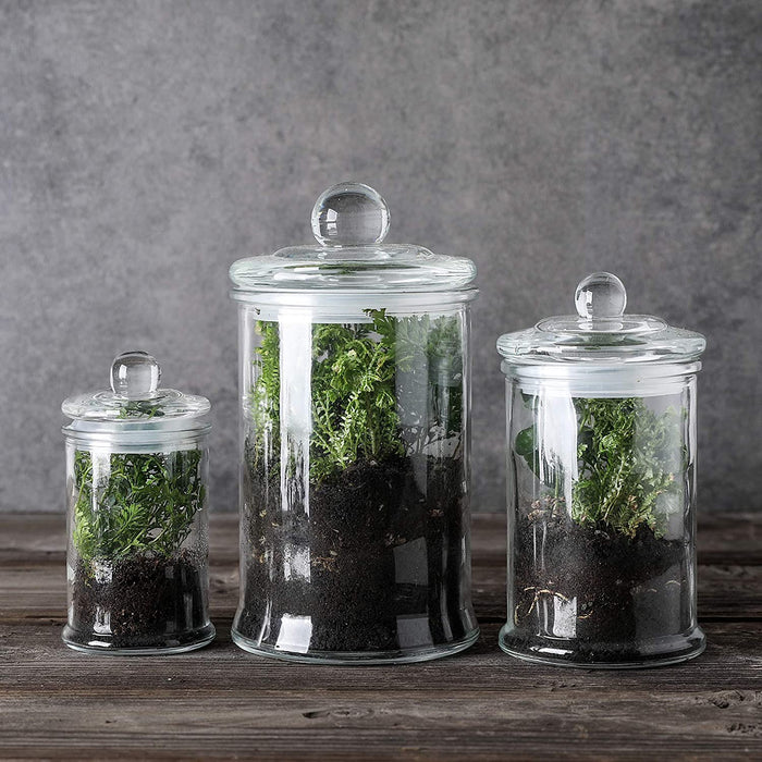 Mini Glass Apothecary Jars Set of 3