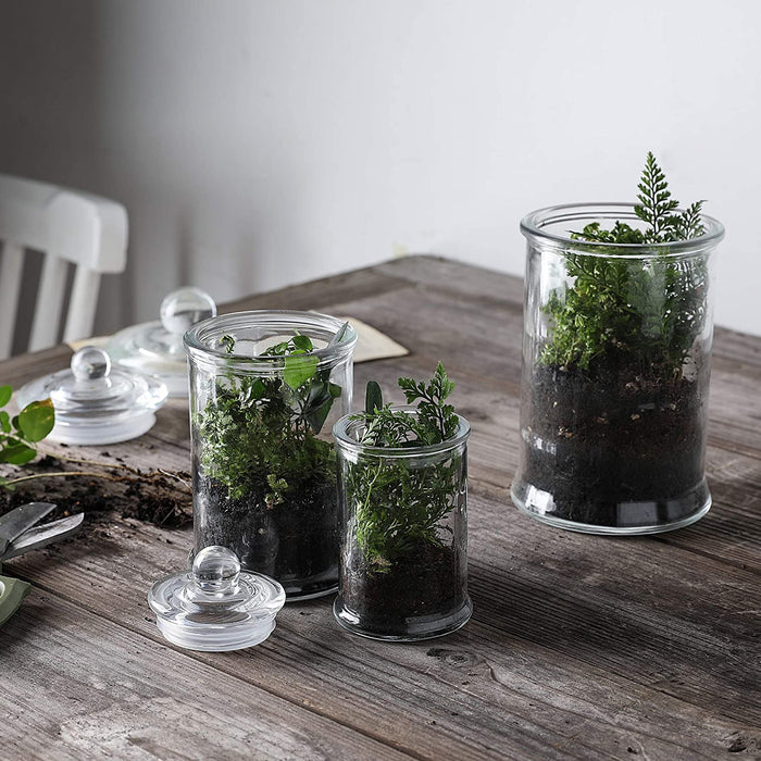 Mini Glass Apothecary Jars Set of 3