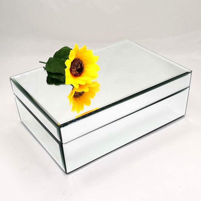 Mirrored Box