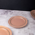 Misora Powder Pink Starter Plate Starter Plates The June Shop
