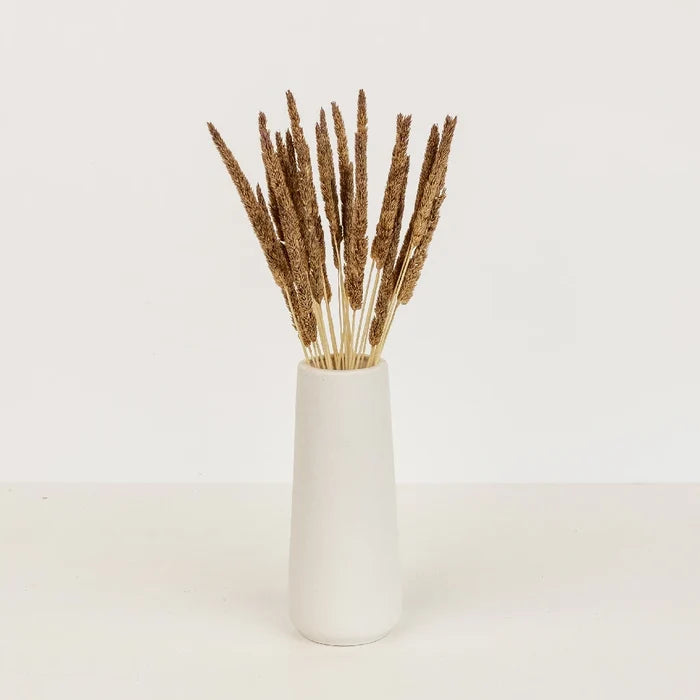 Mocha Dried Typha Grass Vase - Image