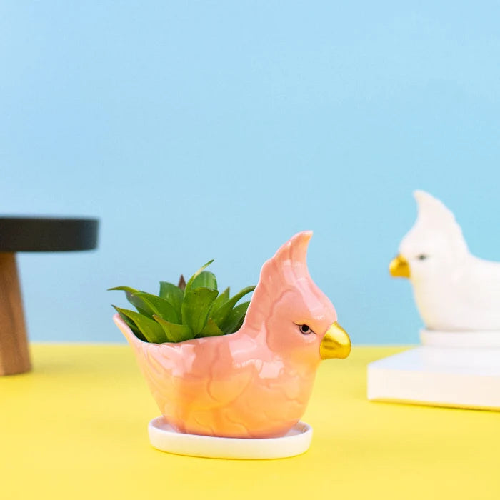 Parrot Ceramic Pot For Plants Planters June Trading