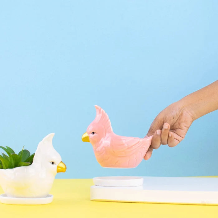 Parrot Ceramic Pot For Plants Planters June Trading Salmon Pink