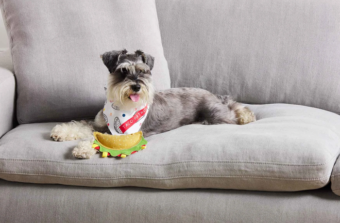 Pet Toy Bandana Set- 3 Designs To Choose From - Pine & Moss