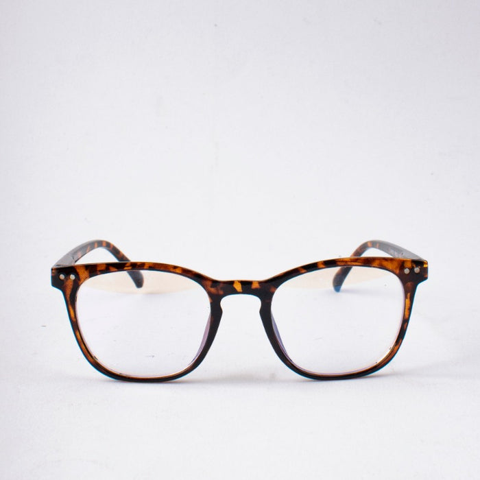Ray Burst Sunglasses