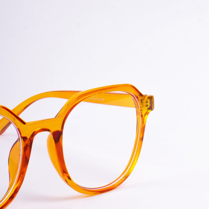 Ray Revolution Eyeglasses