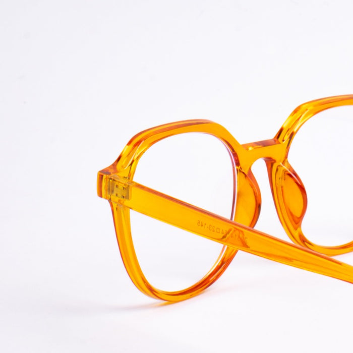 Ray Revolution Eyeglasses