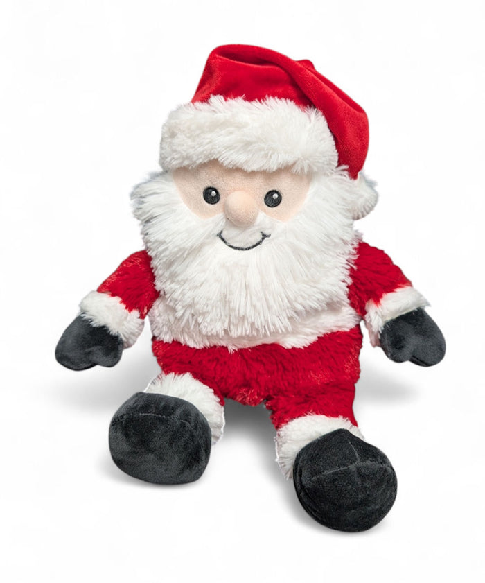 Santa 2025 Large