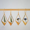 Seed & Soil Botanical Jewelry - Hanging Terrarium Earrings