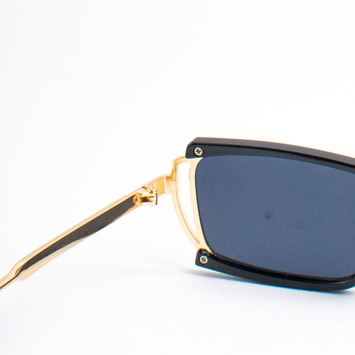 Shades On Wheels Sunglasses