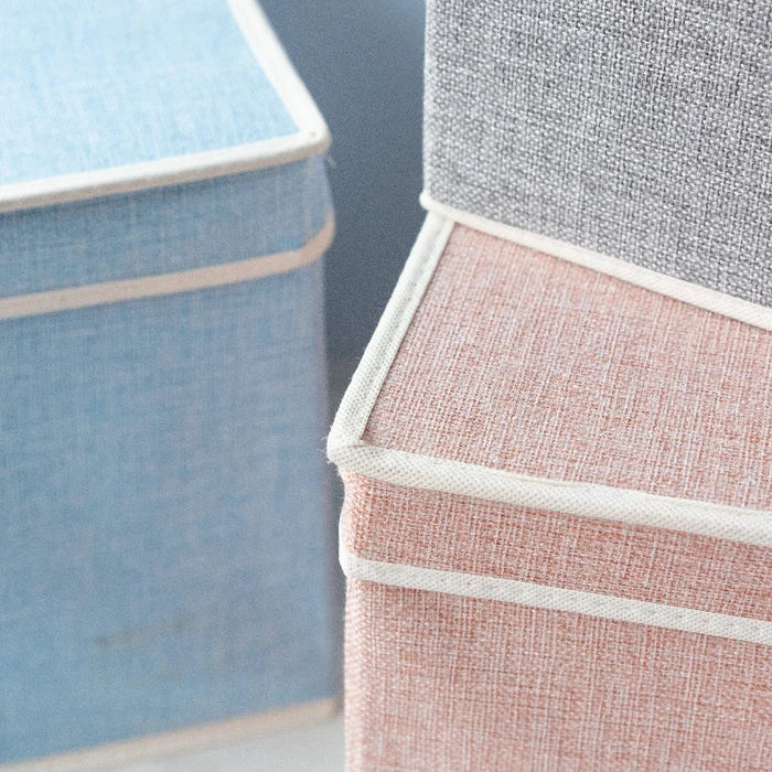 Soft-Hue Foldable Storage Organizer Basic Organisers ERL