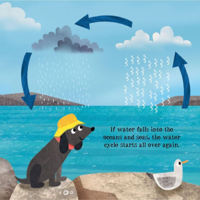 the great big water cycle adventure childrens book oyster bamboo fly rods