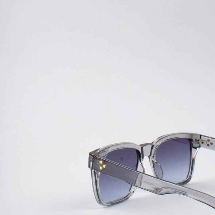 Vision Wave Sunglasses