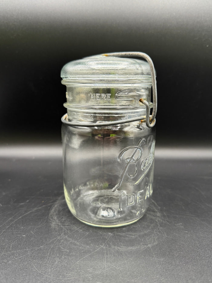 VTG Ball Ideal Glass Lid Mason Jars