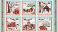 Wintry Mix by Elizabeth Medley 2304-60 Mint Winter Blocks