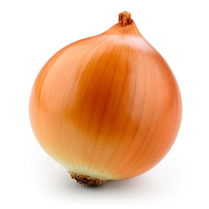 Yellow Cooking Onions, 50lb/22.7kg